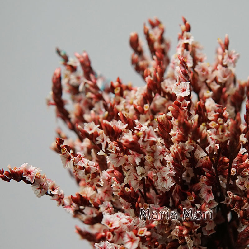 Baby Breath Dried - 5G/Warna-warni Dired Diawetkan Kristal Rumput Rumah