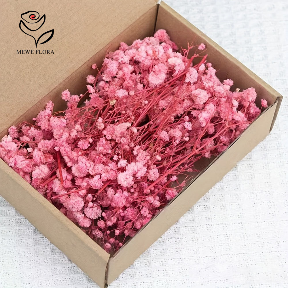 Baby Breath Dried - 100 Cabang Kecil Bunga Nafas Bayi