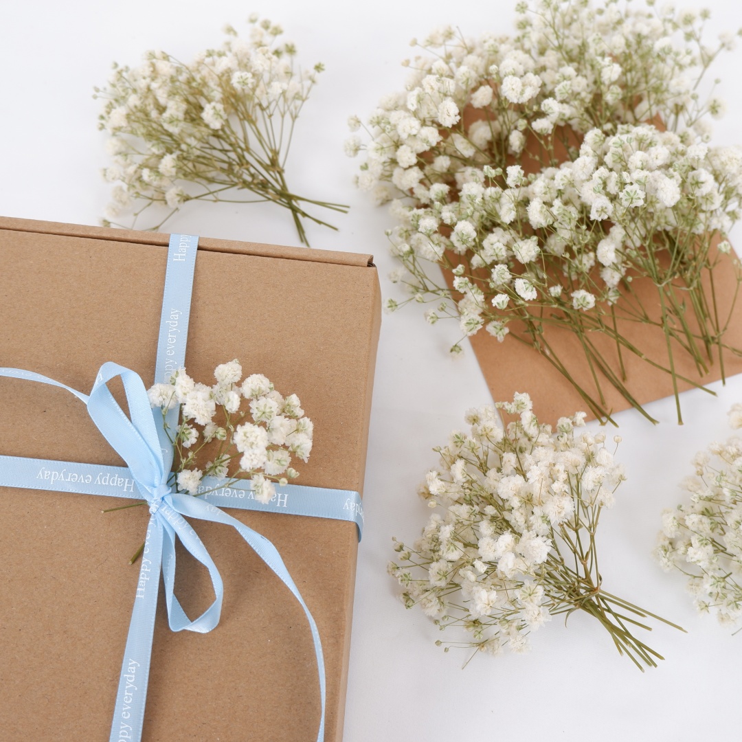 Bunga Kering Putih Mini Gypsop - Baby Breath Dried ulasan dan harga
