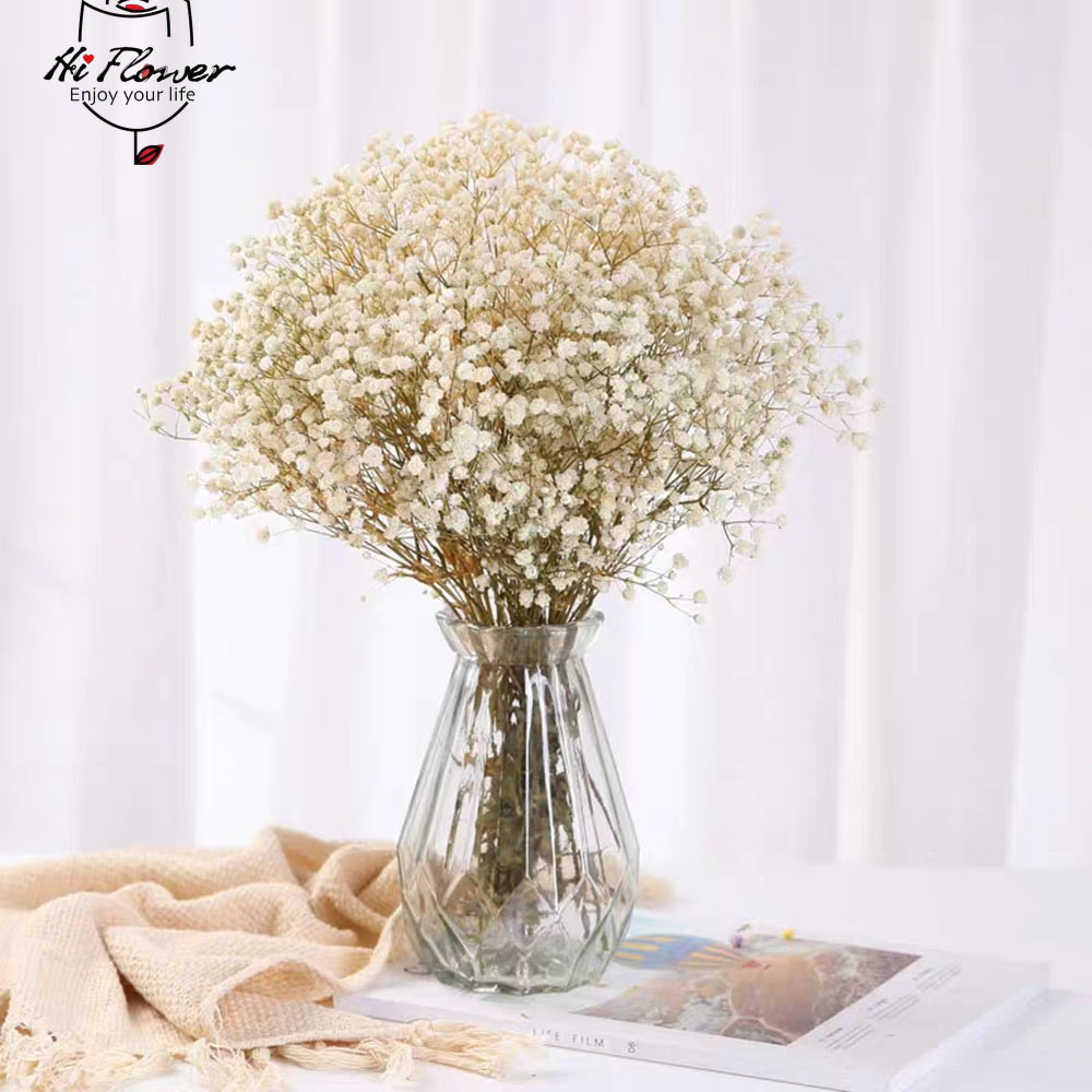 Bunga Kering Alami Diawetkan G - Baby Breath Dried ulasan dan harga