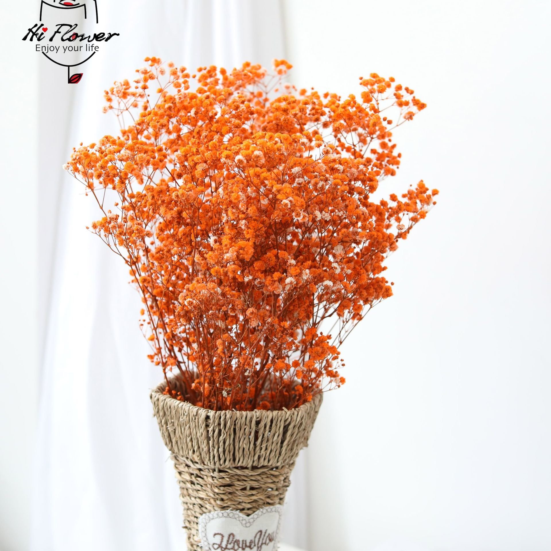 Bunga Kering Alami Diawetkan G - Baby Breath Dried ulasan dan harga