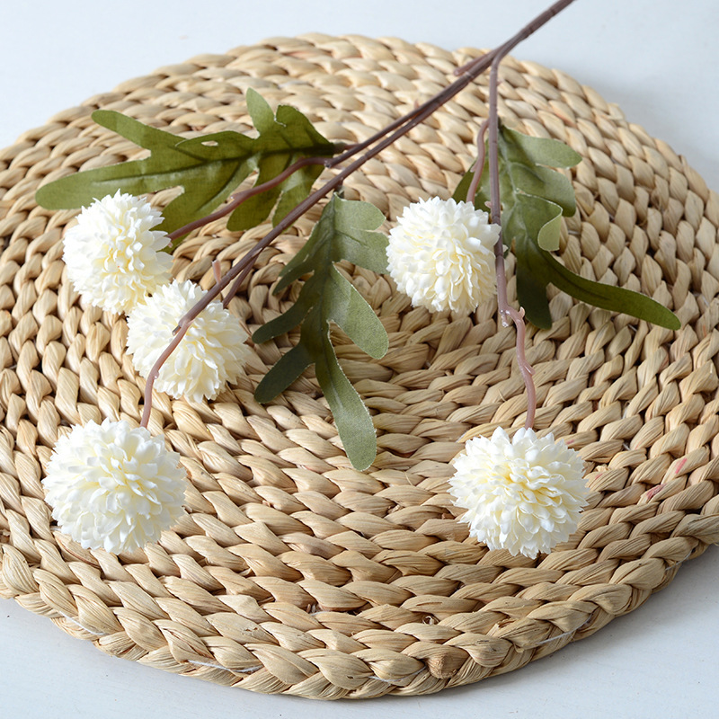 5 kepala bunga buatan Dandelio - Baby Breath Dried ulasan dan harga