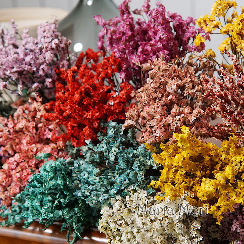 5G/Warna-warni Dired Diawetkan - Baby Breath Dried ulasan dan harga