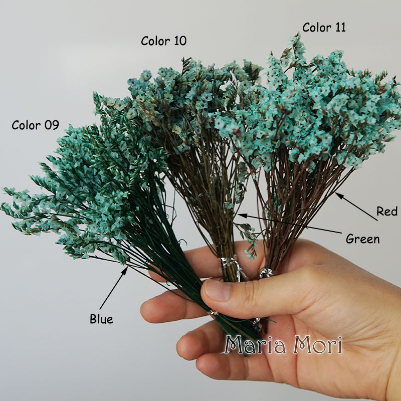 5G/Warna-warni Dired Diawetkan - Baby Breath Dried ulasan dan harga