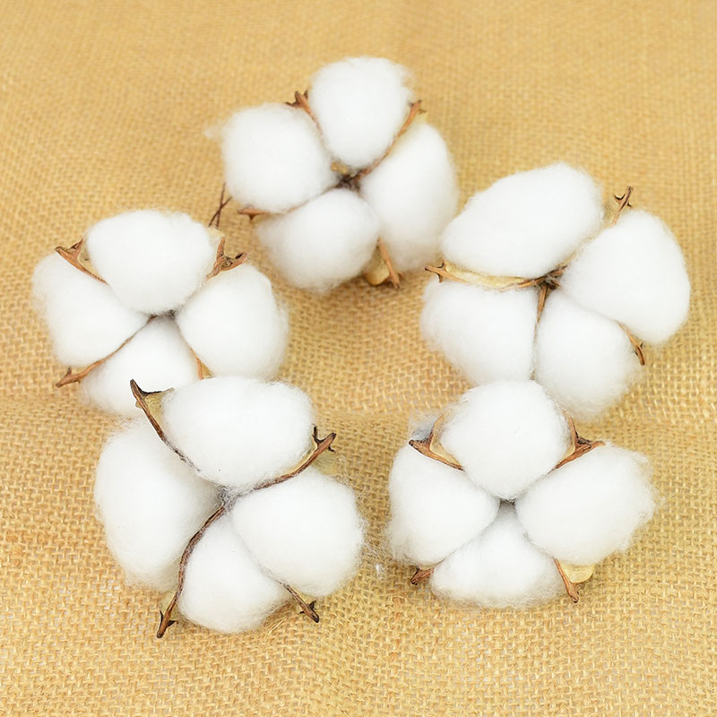 10 Buah Perlengkapan Florist K - Florist Wreath Supply ulasan dan harga