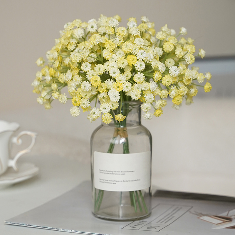 Bunga baby Breath buatan untuk - Baby Breath Dried ulasan dan harga