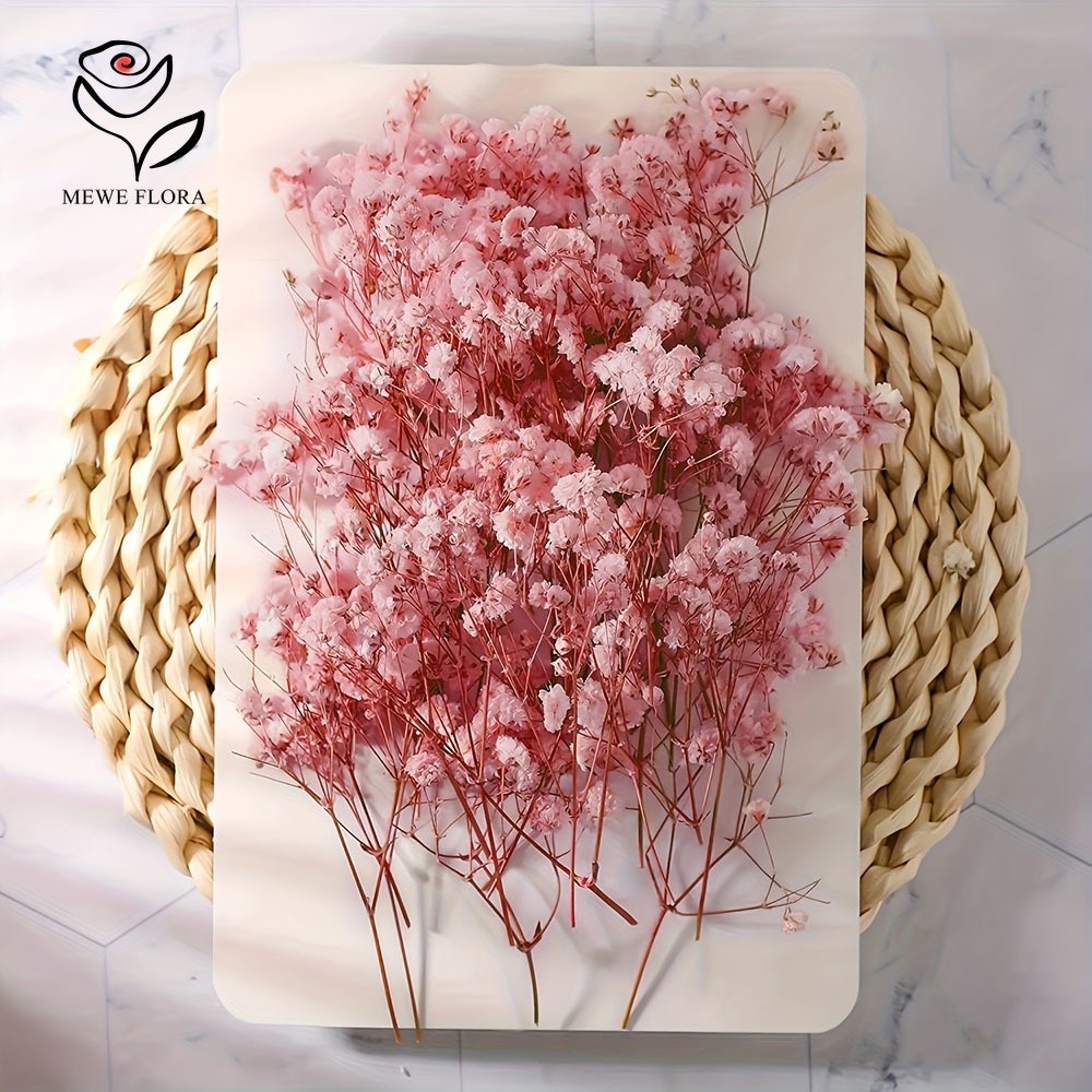 100 Cabang Kecil Bunga Nafas B - Baby Breath Dried ulasan dan harga