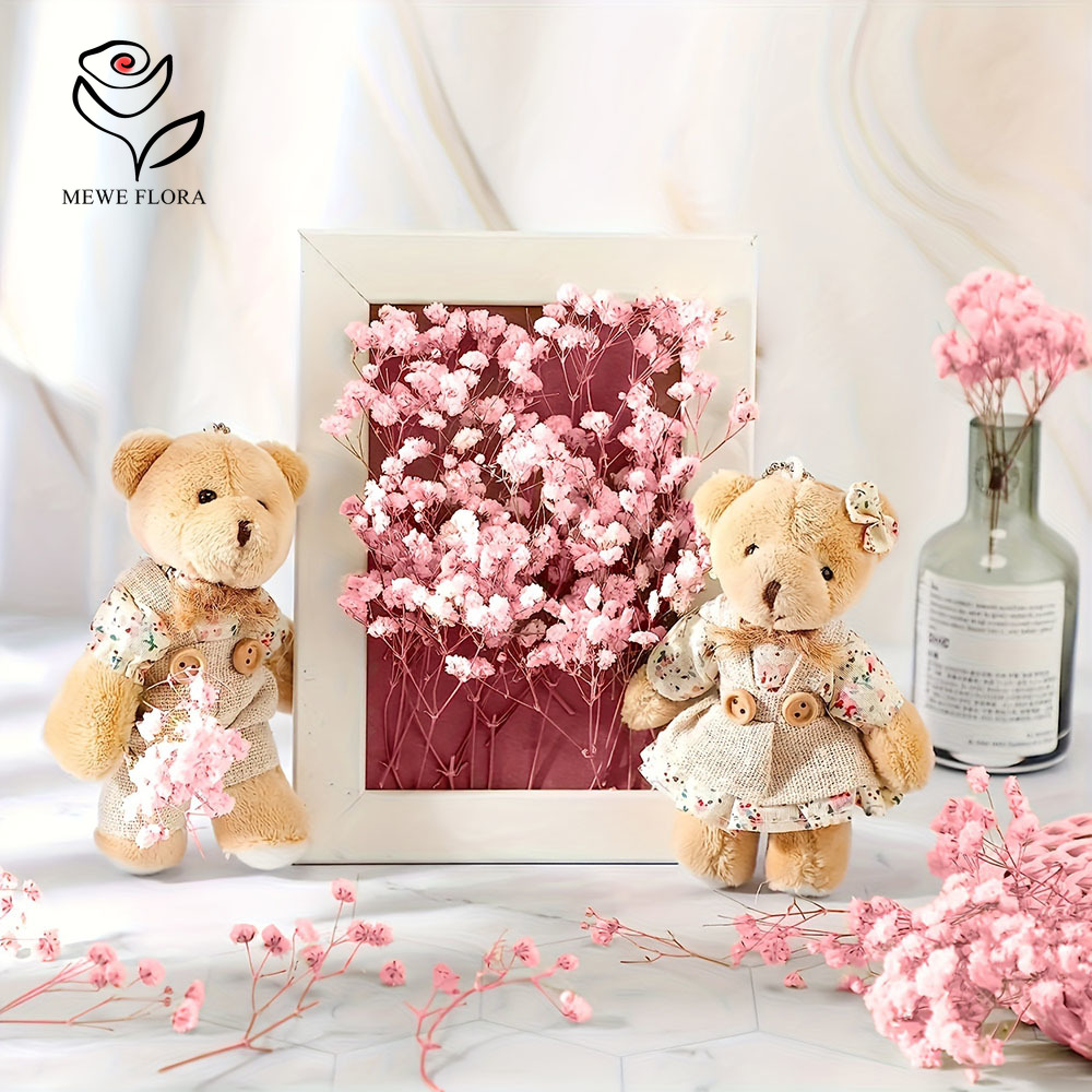 100 Cabang Kecil Bunga Nafas B - Baby Breath Dried ulasan dan harga